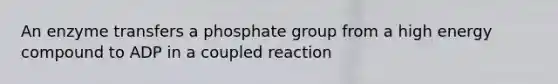 An enzyme transfers a phosphate group from a high energy compound to ADP in a coupled reaction