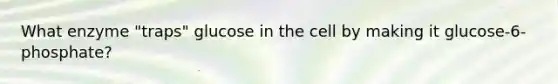 What enzyme "traps" glucose in the cell by making it glucose-6-phosphate?