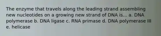 The enzyme that travels along the leading strand assembling new nucleotides on a growing new strand of DNA is... a. DNA polymerase b. DNA ligase c. RNA primase d. DNA polymerase III e. helicase