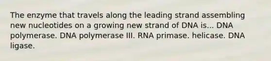 The enzyme that travels along the leading strand assembling new nucleotides on a growing new strand of DNA is... DNA polymerase. DNA polymerase III. RNA primase. helicase. DNA ligase.