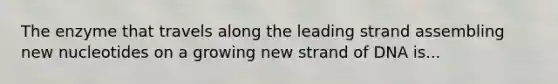 The enzyme that travels along the leading strand assembling new nucleotides on a growing new strand of DNA is...