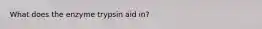 What does the enzyme trypsin aid in?
