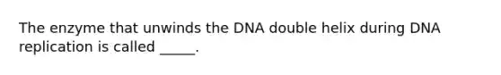 The enzyme that unwinds the DNA double helix during DNA replication is called _____.