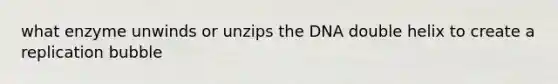 what enzyme unwinds or unzips the DNA double helix to create a replication bubble