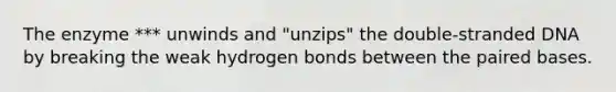 The enzyme *** unwinds and "unzips" the double-stranded DNA by breaking the weak hydrogen bonds between the paired bases.