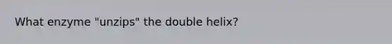 What enzyme "unzips" the double helix?