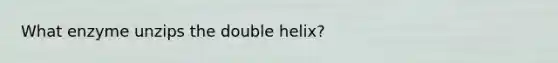 What enzyme unzips the double helix?