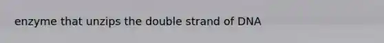 enzyme that unzips the double strand of DNA