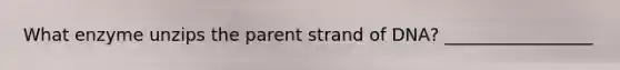 What enzyme unzips the parent strand of DNA? _________________