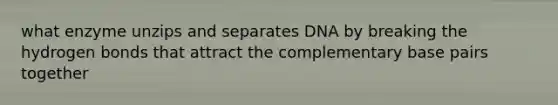 what enzyme unzips and separates DNA by breaking the hydrogen bonds that attract the complementary base pairs together