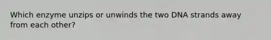 Which enzyme unzips or unwinds the two DNA strands away from each other?