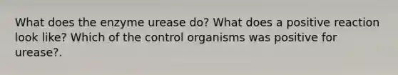 What does the enzyme urease do? What does a positive reaction look like? Which of the control organisms was positive for urease?.