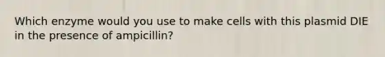 Which enzyme would you use to make cells with this plasmid DIE in the presence of ampicillin?