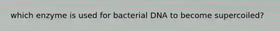 which enzyme is used for bacterial DNA to become supercoiled?