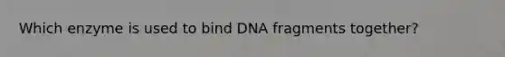 Which enzyme is used to bind DNA fragments together?