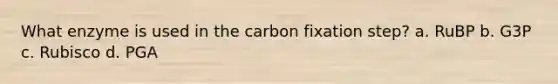 What enzyme is used in the carbon fixation step? a. RuBP b. G3P c. Rubisco d. PGA