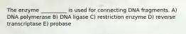 The enzyme __________ is used for connecting DNA fragments. A) DNA polymerase B) DNA ligase C) restriction enzyme D) reverse transcriptase E) probase