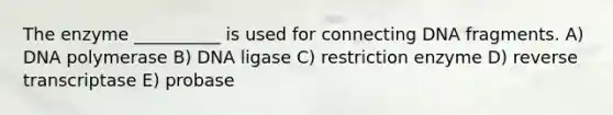 The enzyme __________ is used for connecting DNA fragments. A) DNA polymerase B) DNA ligase C) restriction enzyme D) reverse transcriptase E) probase