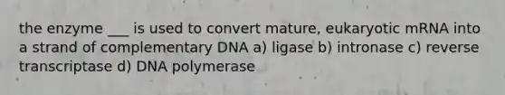 the enzyme ___ is used to convert mature, eukaryotic mRNA into a strand of complementary DNA a) ligase b) intronase c) reverse transcriptase d) DNA polymerase