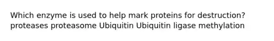 Which enzyme is used to help mark proteins for destruction? proteases proteasome Ubiquitin Ubiquitin ligase methylation