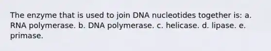 The enzyme that is used to join DNA nucleotides together is: a. RNA polymerase. b. DNA polymerase. c. helicase. d. lipase. e. primase.