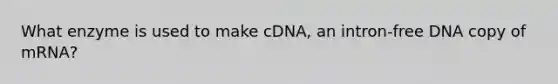 What enzyme is used to make cDNA, an intron-free DNA copy of mRNA?