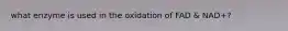 what enzyme is used in the oxidation of FAD & NAD+?