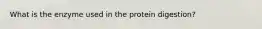 What is the enzyme used in the protein digestion?