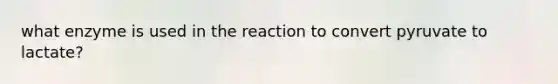 what enzyme is used in the reaction to convert pyruvate to lactate?