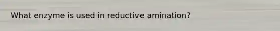 What enzyme is used in reductive amination?