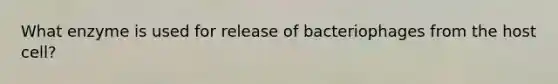 What enzyme is used for release of bacteriophages from the host cell?