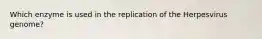 Which enzyme is used in the replication of the Herpesvirus genome?