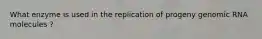 What enzyme is used in the replication of progeny genomic RNA molecules ?