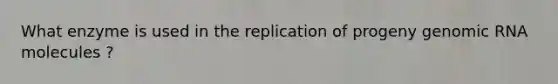 What enzyme is used in the replication of progeny genomic RNA molecules ?