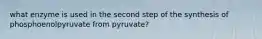 what enzyme is used in the second step of the synthesis of phosphoenolpyruvate from pyruvate?