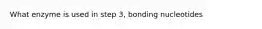 What enzyme is used in step 3, bonding nucleotides