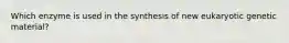 Which enzyme is used in the synthesis of new eukaryotic genetic material?