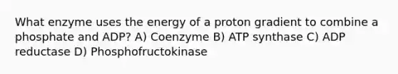 What enzyme uses the energy of a proton gradient to combine a phosphate and ADP? A) Coenzyme B) ATP synthase C) ADP reductase D) Phosphofructokinase