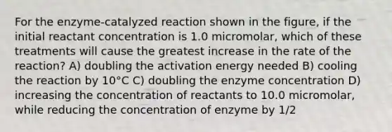 For the enzyme-catalyzed reaction shown in the figure, if the initial reactant concentration is 1.0 micromolar, which of these treatments will cause the greatest increase in the rate of the reaction? A) doubling the activation energy needed B) cooling the reaction by 10°C C) doubling the enzyme concentration D) increasing the concentration of reactants to 10.0 micromolar, while reducing the concentration of enzyme by 1/2