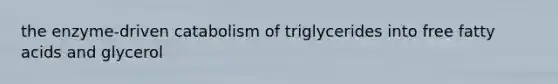 the enzyme-driven catabolism of triglycerides into free fatty acids and glycerol
