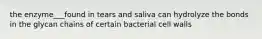 the enzyme___found in tears and saliva can hydrolyze the bonds in the glycan chains of certain bacterial cell walls