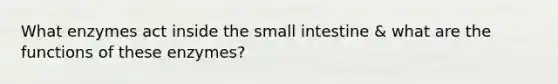 What enzymes act inside the small intestine & what are the functions of these enzymes?