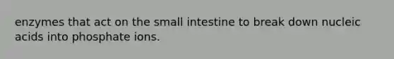 enzymes that act on the small intestine to break down nucleic acids into phosphate ions.