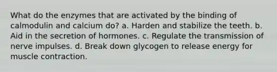 What do the enzymes that are activated by the binding of calmodulin and calcium do? a. Harden and stabilize the teeth. b. Aid in the secretion of hormones. c. Regulate the transmission of nerve impulses. d. Break down glycogen to release energy for muscle contraction.