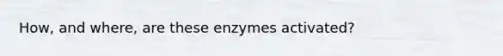 How, and where, are these enzymes activated?