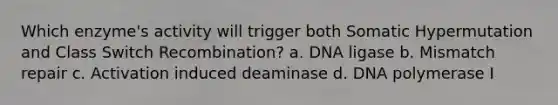 Which enzyme's activity will trigger both Somatic Hypermutation and Class Switch Recombination? a. DNA ligase b. Mismatch repair c. Activation induced deaminase d. DNA polymerase I