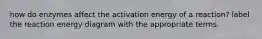 how do enzymes affect the activation energy of a reaction? label the reaction energy diagram with the appropriate terms.