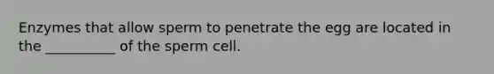 Enzymes that allow sperm to penetrate the egg are located in the __________ of the sperm cell.