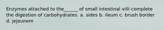 Enzymes attached to the______ of small intestinal villi complete the digestion of carbohydrates. a. sides b. ileum c. brush border d. jejeunem