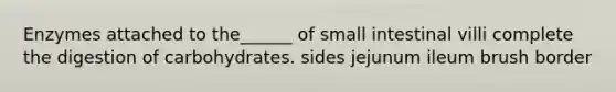 Enzymes attached to the______ of small intestinal villi complete the digestion of carbohydrates. sides jejunum ileum brush border